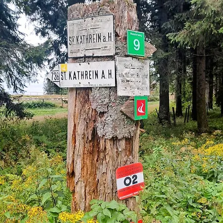 Ski, Bike, Hike & Chill! Lägenhet