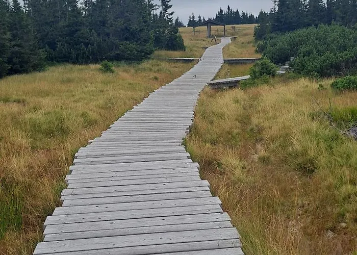 Ski, Bike, Hike & Chill! شقة سانكت كاثرين ام ها