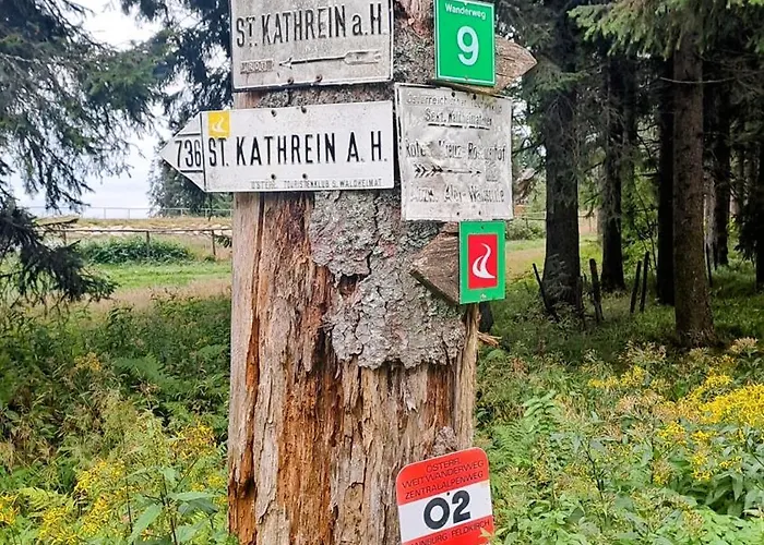 Ski, Bike, Hike & Chill! شقة