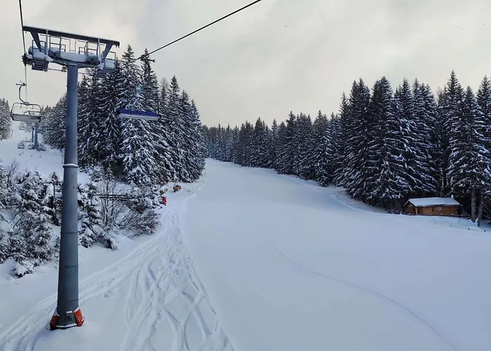 Ski, Bike, Hike & Chill! شقة